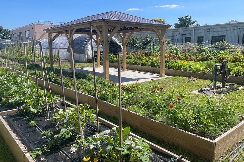 From Farm to Fab: KCC Rebrands Its Urban Oasis as the KCC Community Farm & Garden